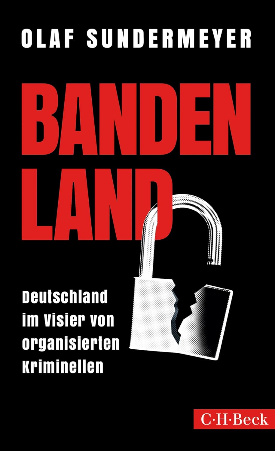Buchcover: Bandenland